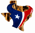 Houston Texans Bull wall art