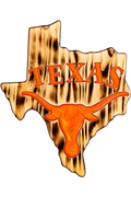 Texas Longhorns Texas wall art