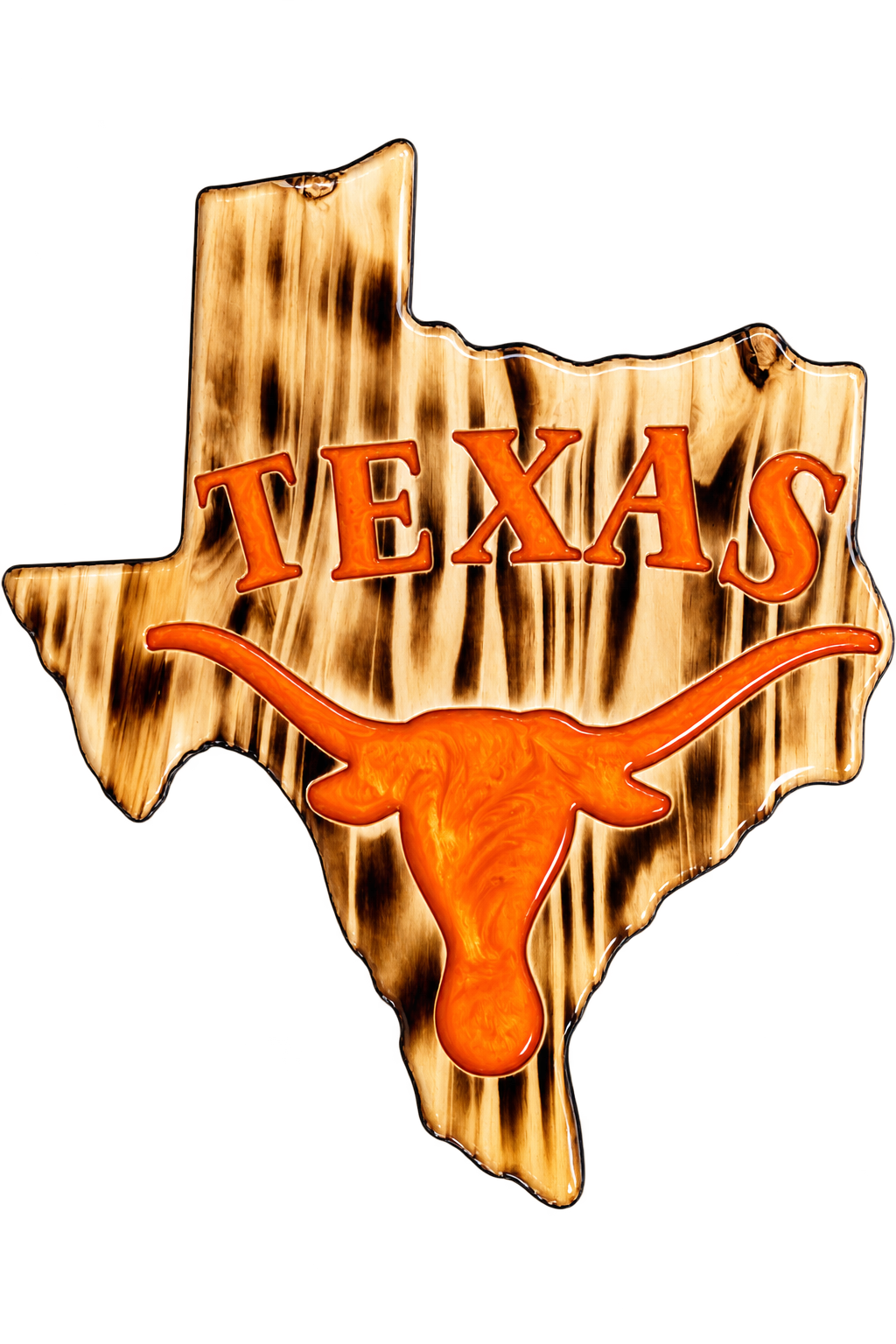 Texas Longhorns Texas wall art